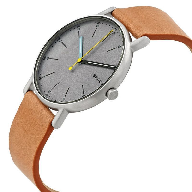 Ceas barbatesc Skagen Signature SKW6373