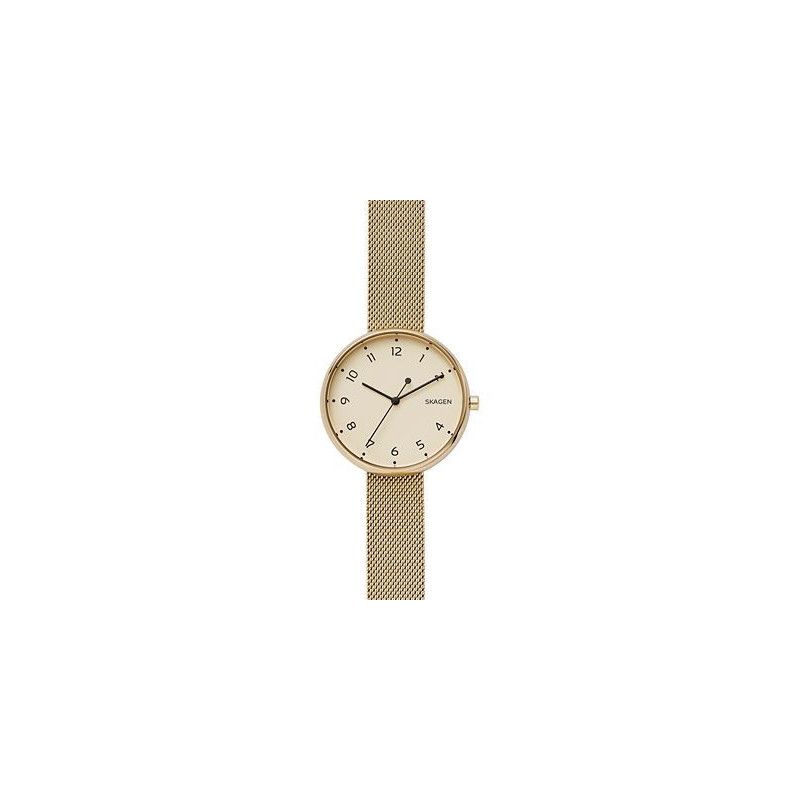 Ceas de dama Skagen Signature SKW2625