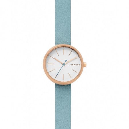 Ceas de dama Skagen Signature SKW2621