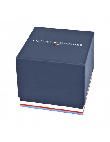 Ceas barbatesc Tommy Hilfiger 1790978