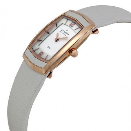 Ceas de dama Skagen Steel 855SRLW1