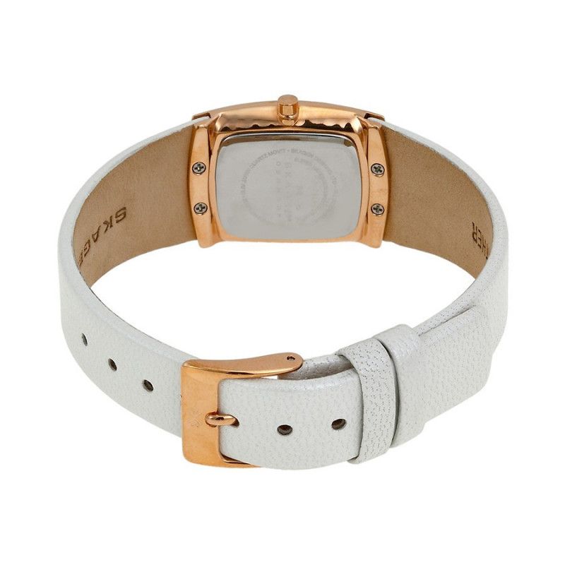 Ceas de dama Skagen Steel 855SRLW1