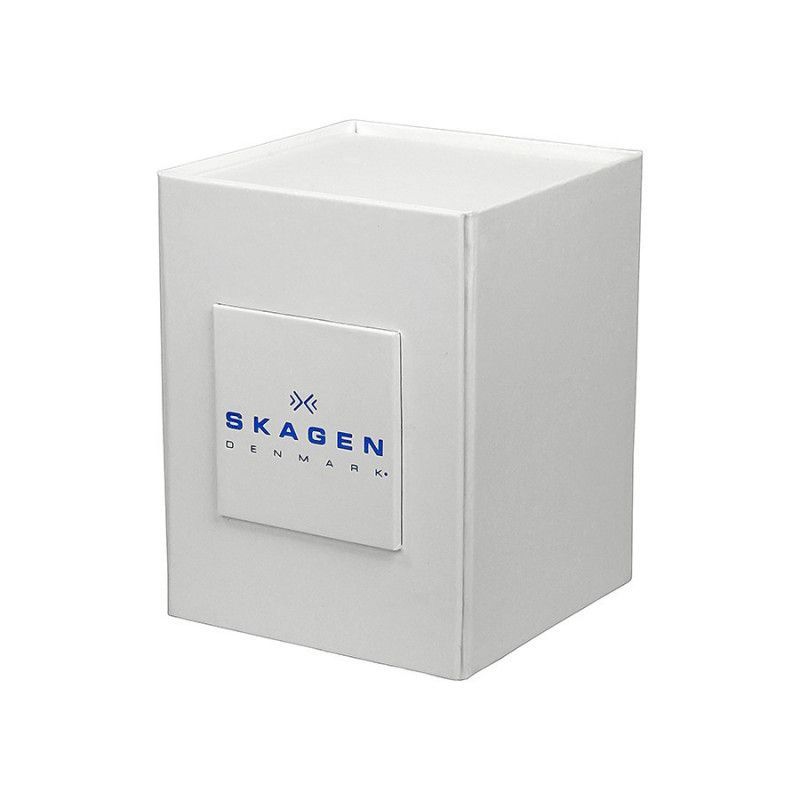 Ceas de dama Skagen Steel 855SRLW1