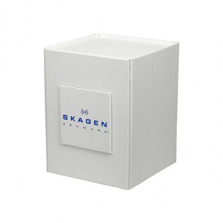 Ceas de dama Skagen Steel 855SRLW1