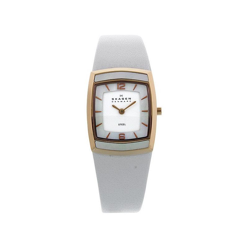 Ceas de dama Skagen Steel 855SRLW1