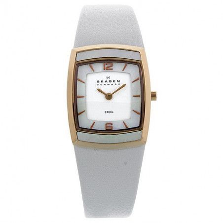 Ceas de dama Skagen Steel 855SRLW1