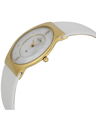 Ceas de dama Skagen SKW2027