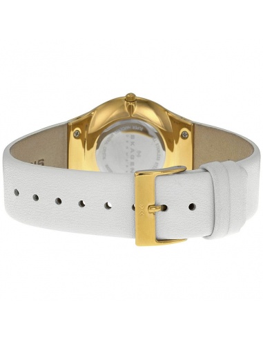 Ceas de dama Skagen SKW2027