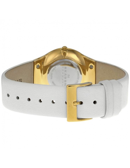 Ceas de dama Skagen SKW2027
