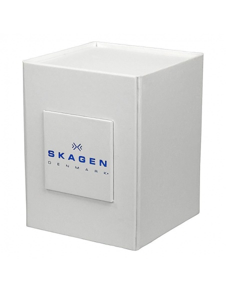 Ceas de dama Skagen SKW2027