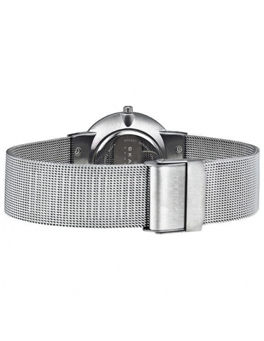 Ceas de dama Skagen Mesh C358LSS1