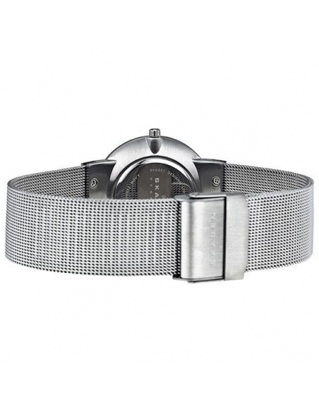 Ceas de dama Skagen Mesh C358LSS1