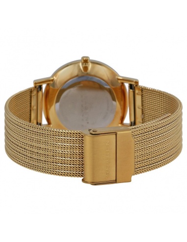 Ceas de dama Skagen 922SGGG