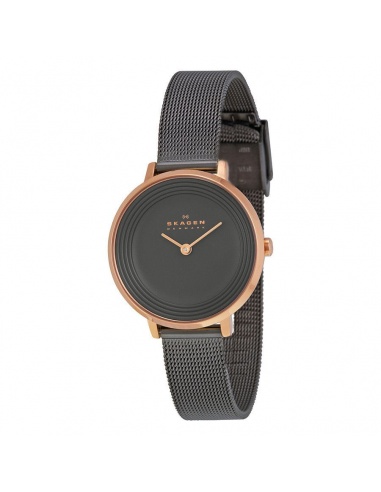 Ceas de dama Skagen Ditte SKW2277