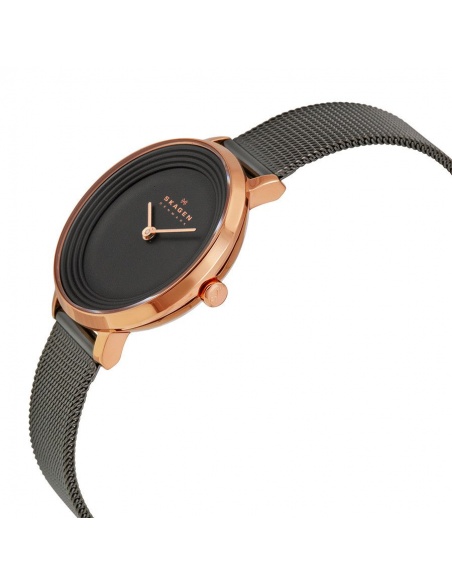 Ceas de dama Skagen Ditte SKW2277