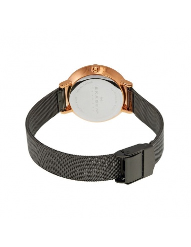 Ceas de dama Skagen Ditte SKW2277