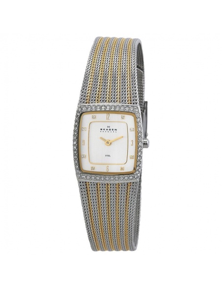 Ceas de dama Skagen 384XSGSG