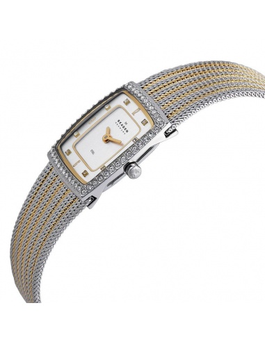 Ceas de dama Skagen 384XSGSG