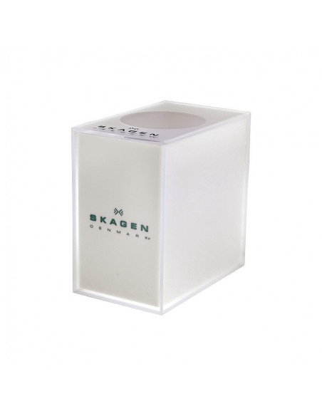 Ceas de dama Skagen 384XSGSG