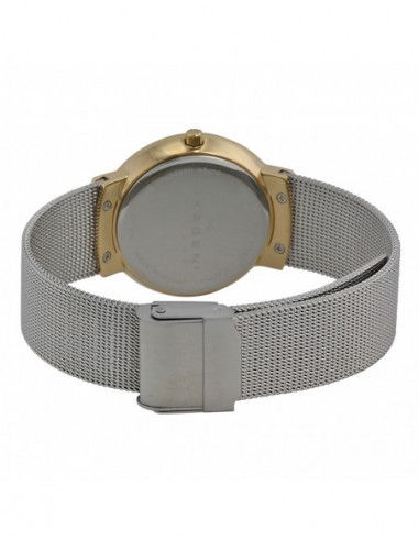 Ceas de dama Skagen Klassik SKW2076