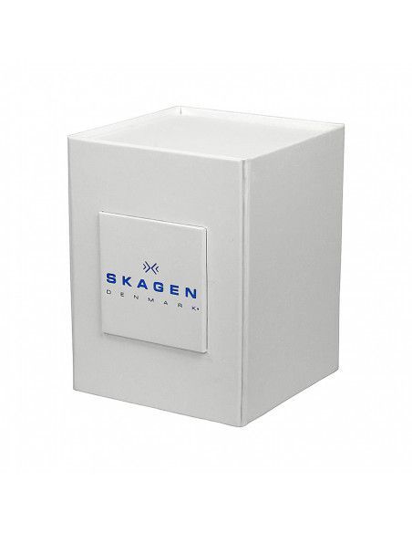 Ceas de dama Skagen Klassik SKW2076