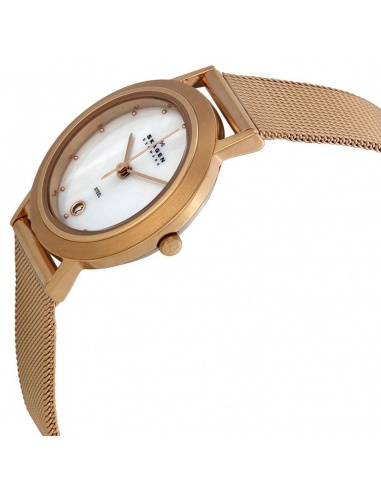 Ceas de dama Skagen Steel 16SRRW