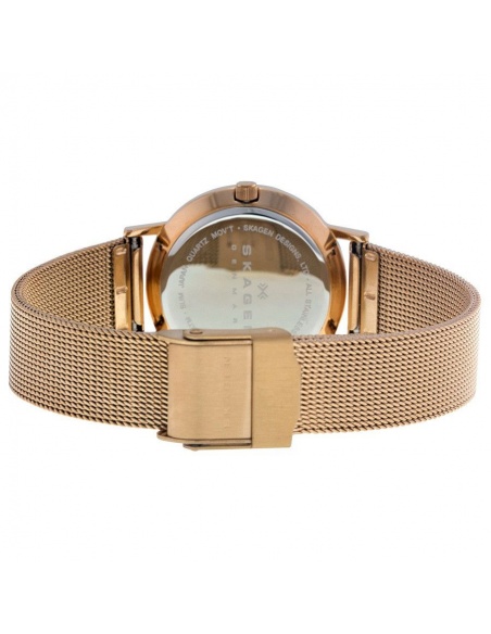 Ceas de dama Skagen Steel 16SRRW