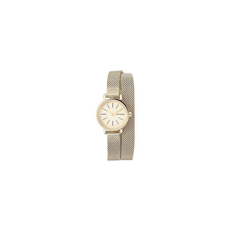 Ceas de dama Skagen Hagen SKW2600