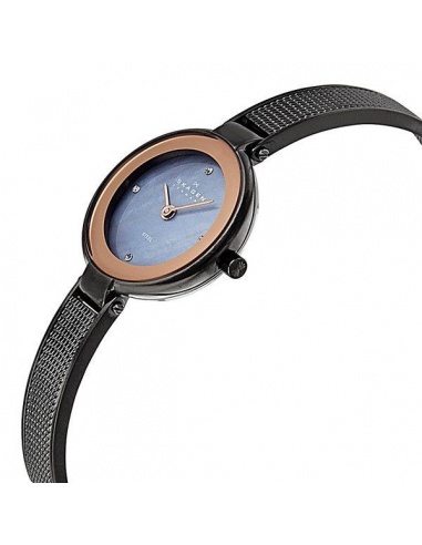 Ceas de dama Skagen 323SMR