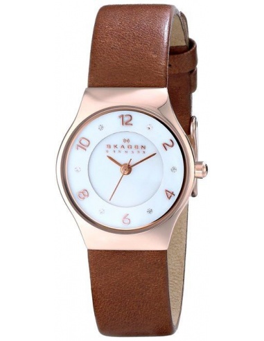 Ceas de dama Skagen SKW2210