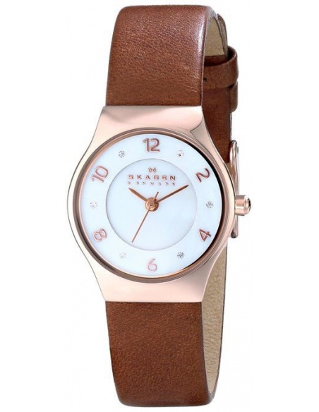 Ceas de dama Skagen SKW2210