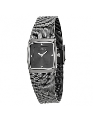 Ceas de dama Skagen Slimline 380XSMMM1