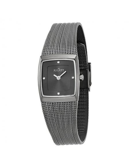 Ceas de dama Skagen Slimline 380XSMMM1