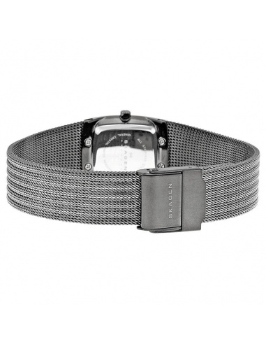 Ceas de dama Skagen Slimline 380XSMMM1