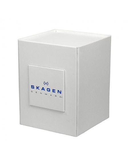 Ceas de dama Skagen Slimline 380XSMMM1