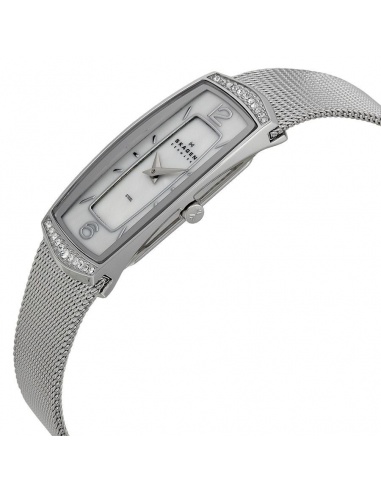 Ceas de dama Skagen 887SSS