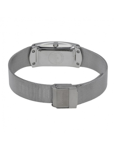 Ceas de dama Skagen 887SSS