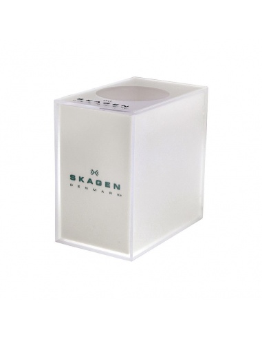 Ceas de dama Skagen 887SSS