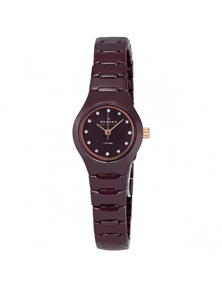 Ceas de dama Skagen Swarovski 816XSDXC1