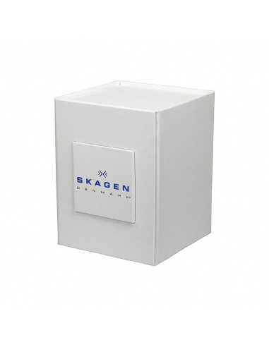 Ceas de dama Skagen Jorn SKW2283