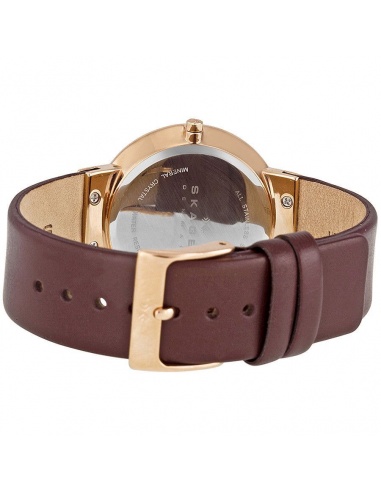 Ceas de dama Skagen Klassik SKW2123
