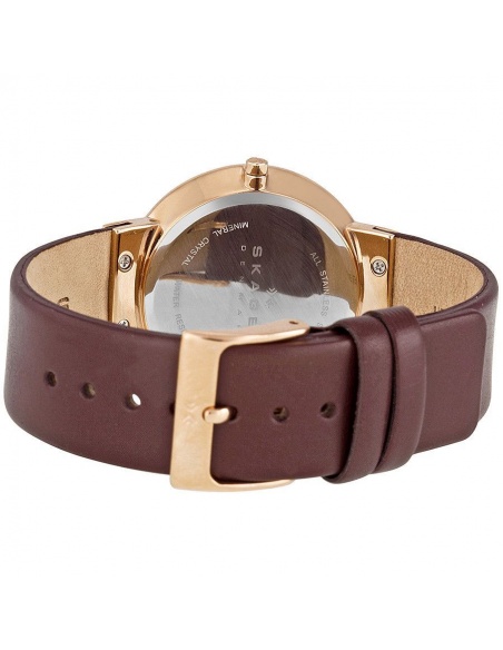 Ceas de dama Skagen Klassik SKW2123