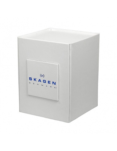 Ceas barbatesc Skagen Ancher SKW6101