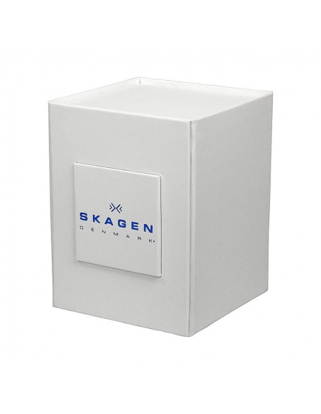 Ceas barbatesc Skagen Ancher SKW6101