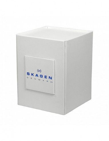 Ceas de dama Skagen Ancher 355SSGS