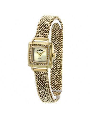 Ceas de dama Skagen Swarovski 821XSGG1