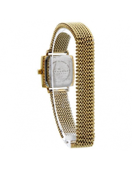 Ceas de dama Skagen Swarovski 821XSGG1