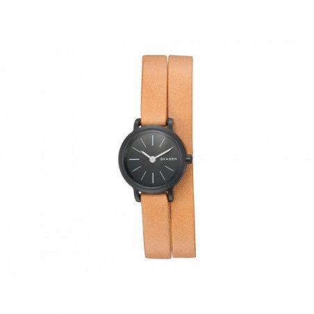 Ceas de dama Skagen Hagen SKW2599
