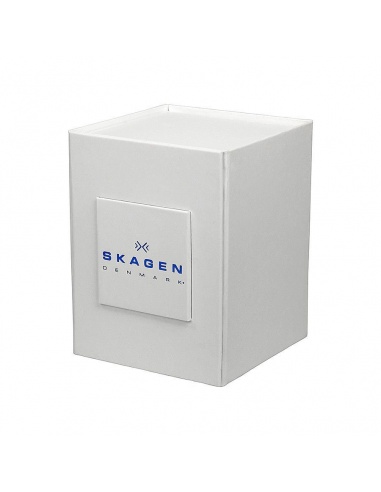 Ceas barbatesc Skagen Grenen SKW6146