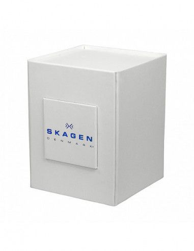 Ceas barbatesc Skagen Klassik SKW6019